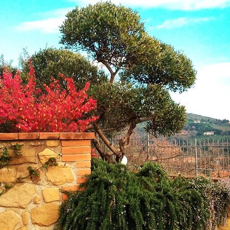 Olivo Bonsai Hotel Passignano sul Trasimeno Luaran gambar