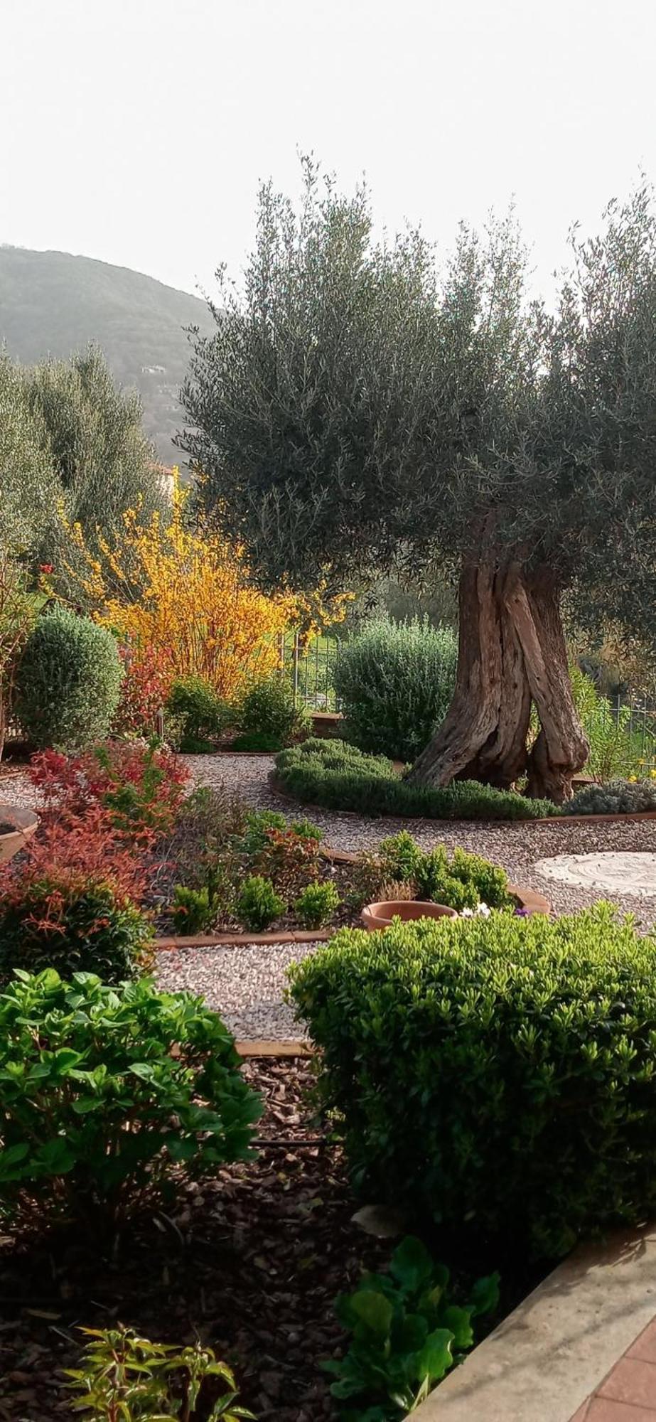 Olivo Bonsai Hotel Passignano sul Trasimeno Luaran gambar